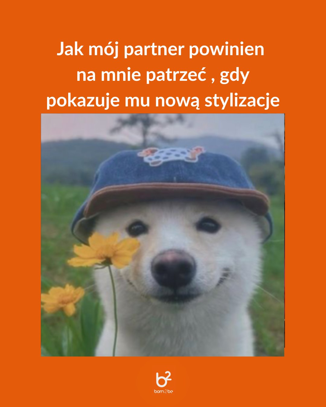 Szybki poradnik dla osób, które mówią "znowu coś kupiłaś?".Psst... nie zapomnijcie przesłać tego obrazka do tej jednej osoby 😏